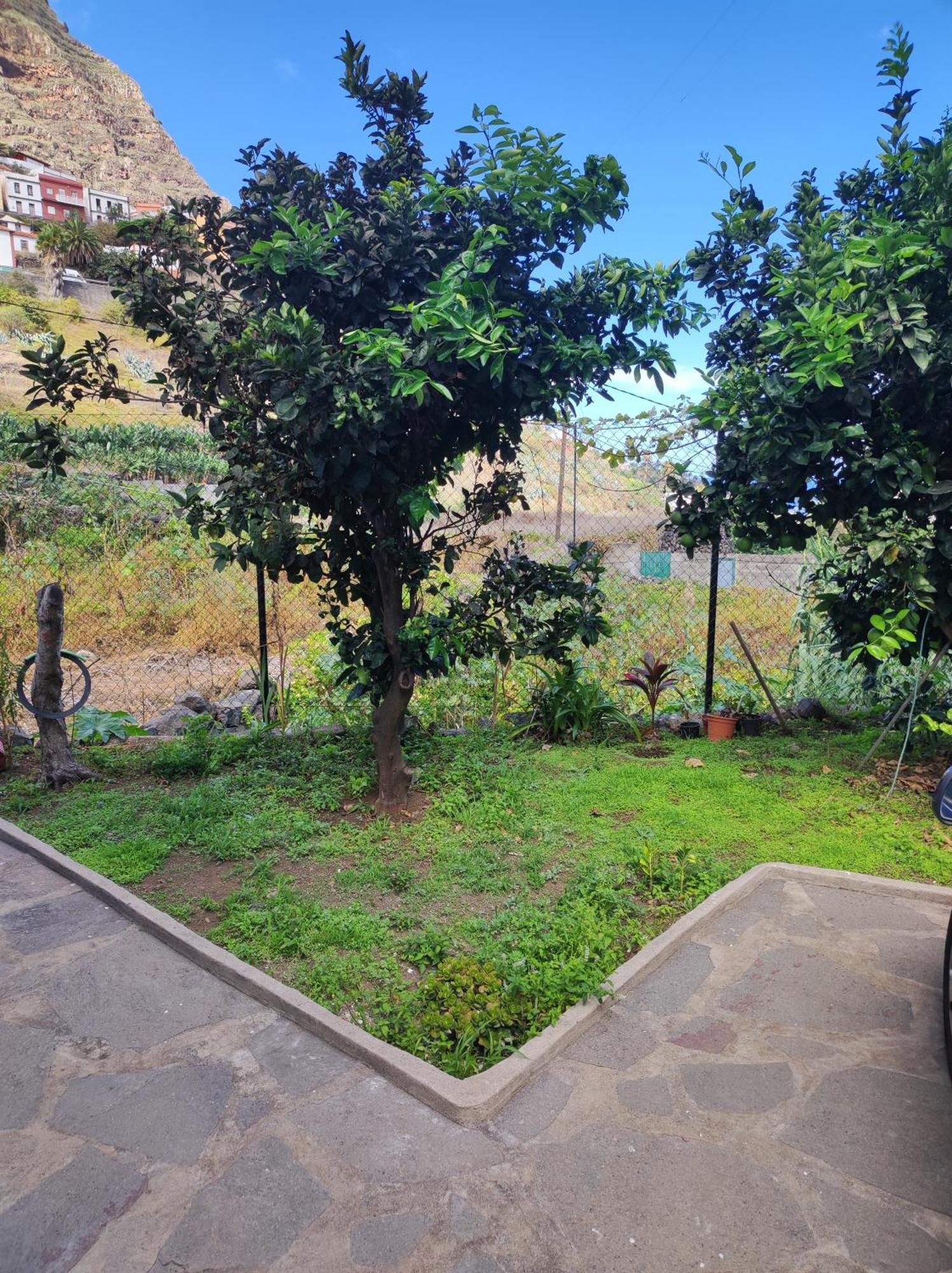 Apartmán Casa Donela Hermigua Exteriér fotografie